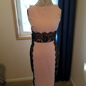 The Limited Baby Pink Sheath Dress Lace Trim